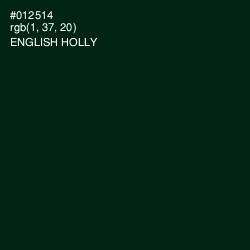 #012514 - English Holly Color Image